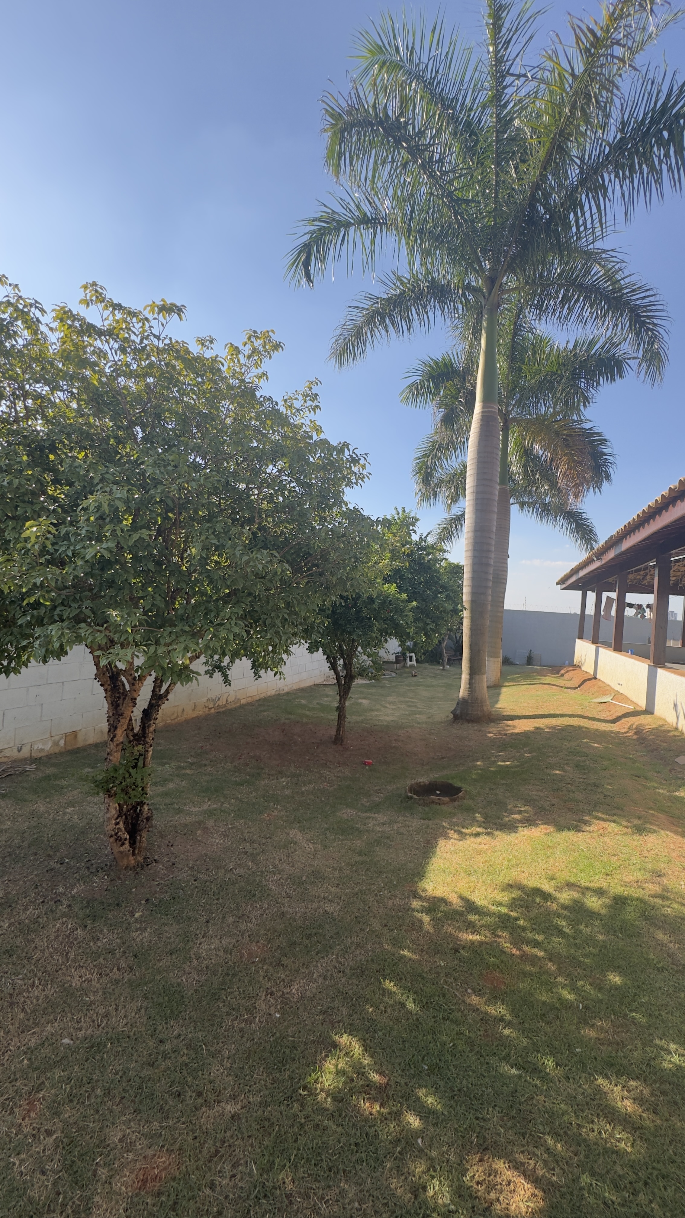 Chácara com 3 dormitórios - 1000 m²